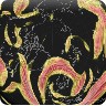 Jet Stream